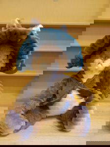 Benjamin Bunny - Soft Toy - large