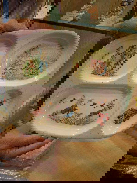 Beatrix Potter - Compartmented Plate